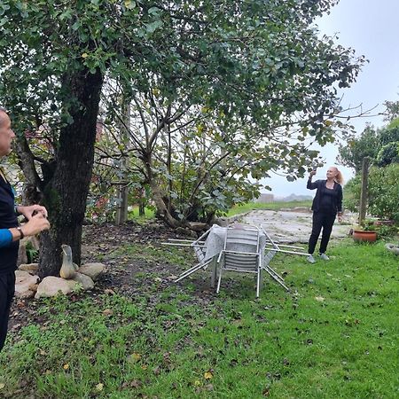 Alojamiento Casa Carlota Villadesuso Kültér fotó